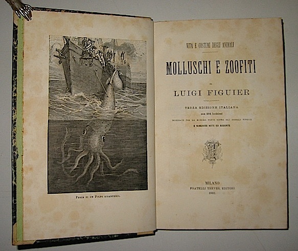 Luigi Figuier Molluschi e zoofiti 1882 Milano Treves